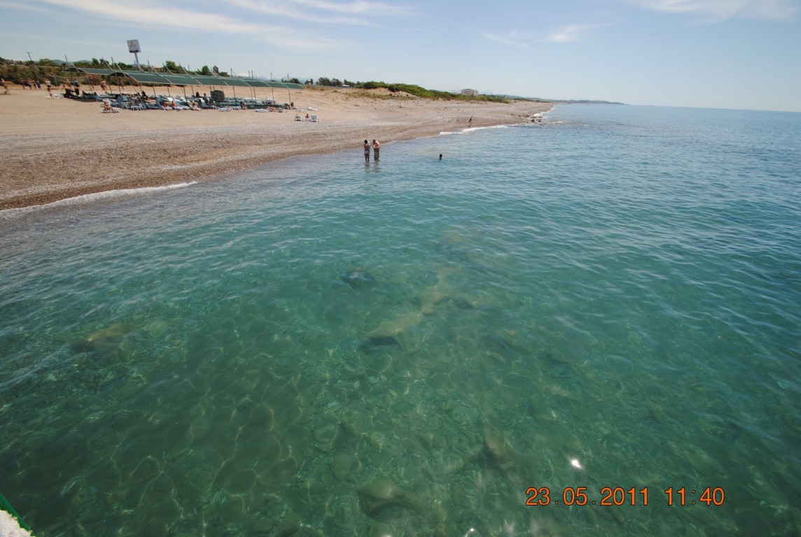 imagini hotel AMELIA BEACH RESORT SIDE